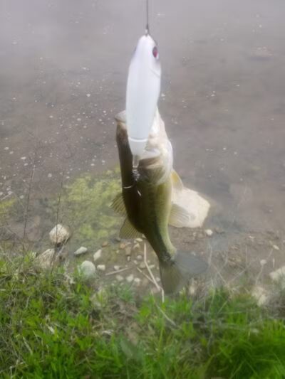 Winchester Meadows Park - Canal Winchester, OH