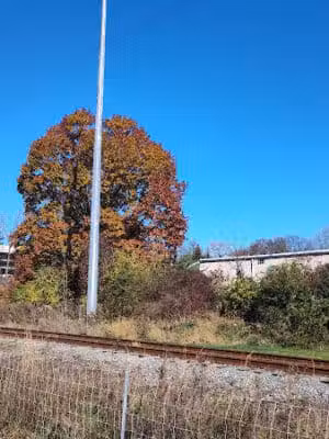 Ink Park - Canton, OH