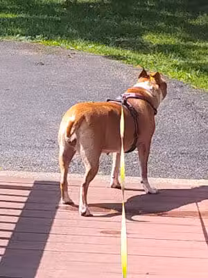 Westbrook Veterans Memorial Park - Canton, OH