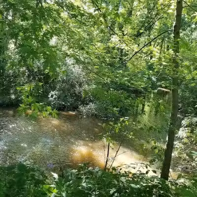 Al Leno Park - Canton, OH