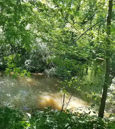 Al Leno Park - Canton, OH