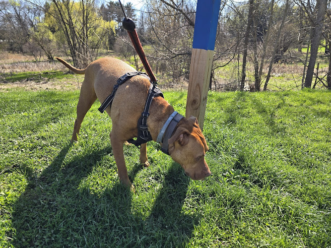 Arboretum Park - Canton, OH