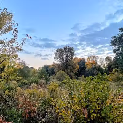 Arboretum Park - Canton, OH