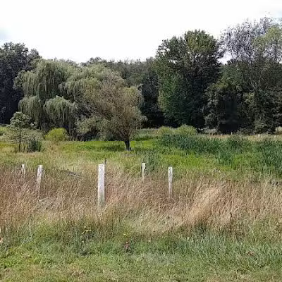Arboretum Park - Canton, OH