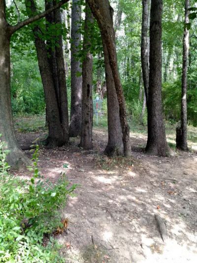 Arboretum Park - Canton, OH