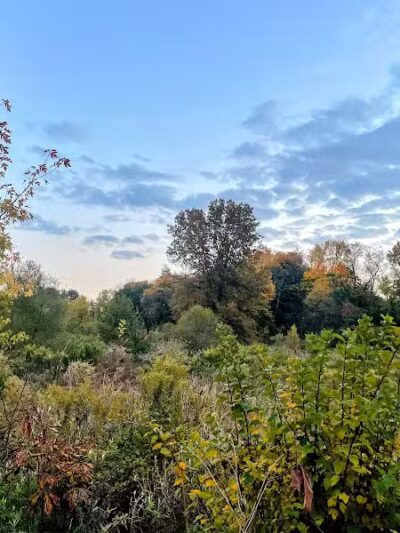 Arboretum Park - Canton, OH