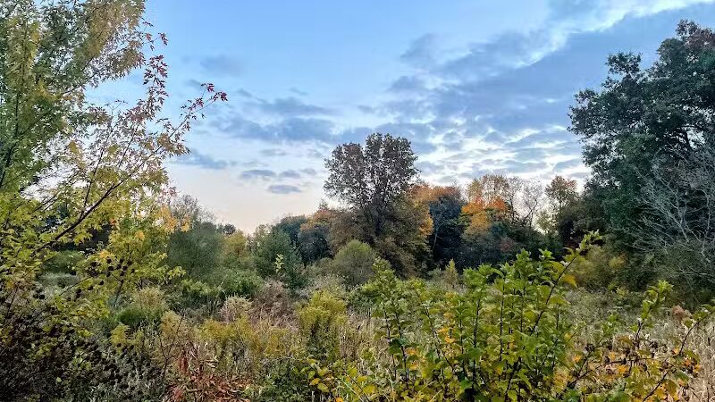 Arboretum Park - Canton, OH