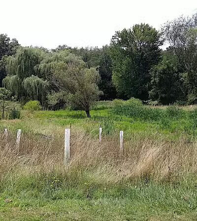 Arboretum Park - Canton, OH