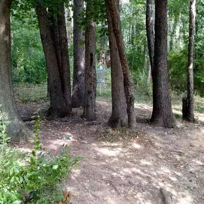 Arboretum Park - Canton, OH