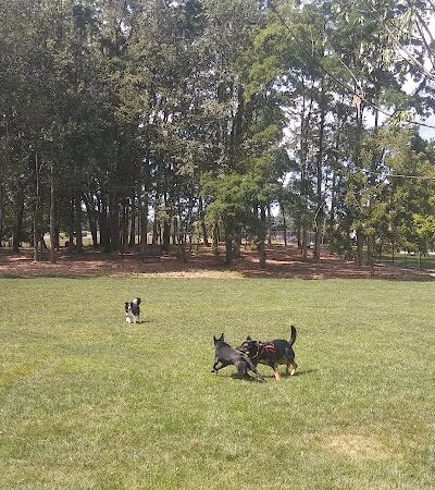 Ariss Park Dog Run - Canton, OH