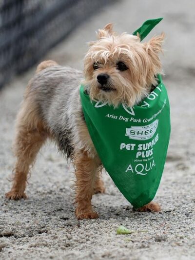 Ariss Park Dog Run - Canton, OH