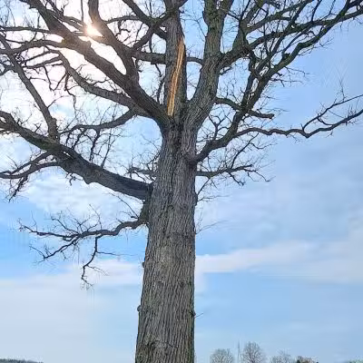 Canton Township Community Park - Canton, OH