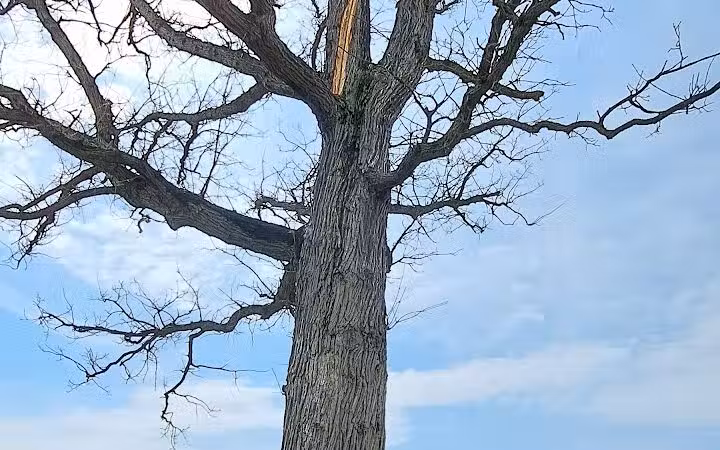 Canton Township Community Park - Canton, OH