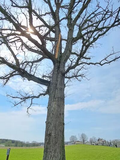 Canton Township Community Park - Canton, OH