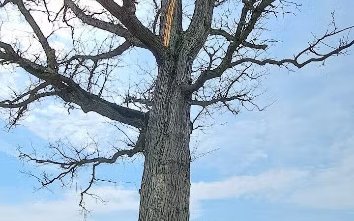 Canton Township Community Park - Canton, OH