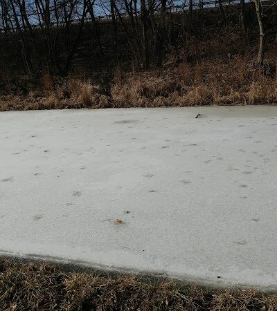 City Field Park, Willy The Whale From Mother Goose Land - Canton, OH