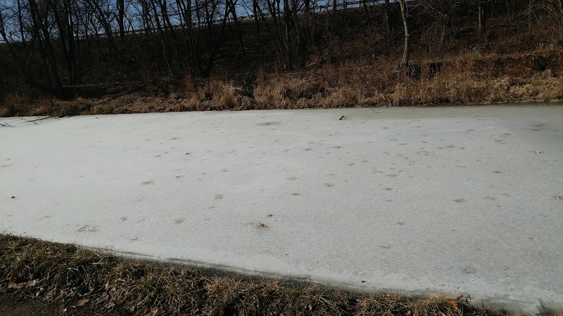 City Field Park, Willy The Whale From Mother Goose Land - Canton, OH