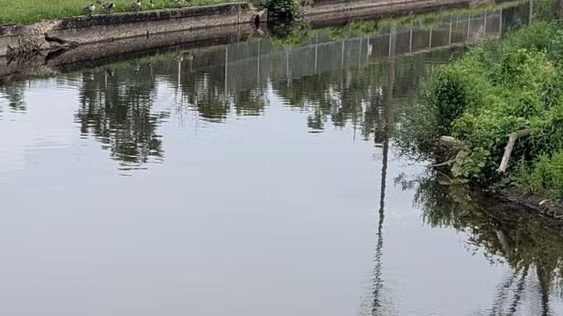 Cook Park - Canton, OH