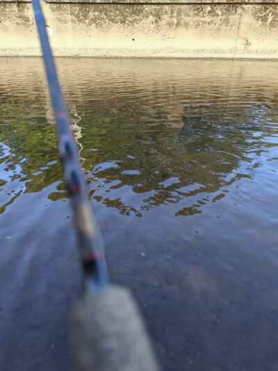 Cook Park - Canton, OH