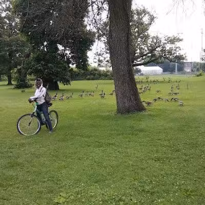 Cook Park - Canton, OH