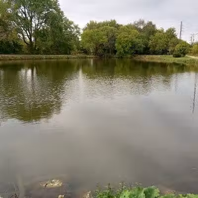 Cook's Lagoon Park - Canton, OH