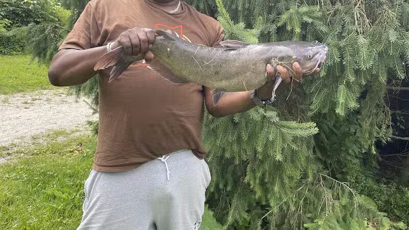 Cook's Lagoon Park - Canton, OH