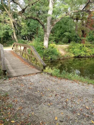 Cook's Lagoon Park - Canton, OH