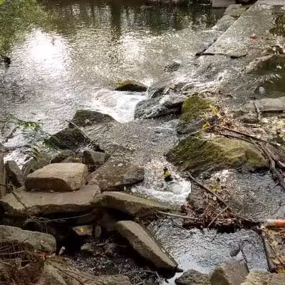 Cook's Lagoon Park - Canton, OH