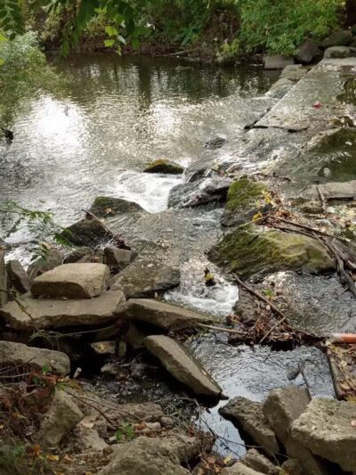 Cook's Lagoon Park - Canton, OH