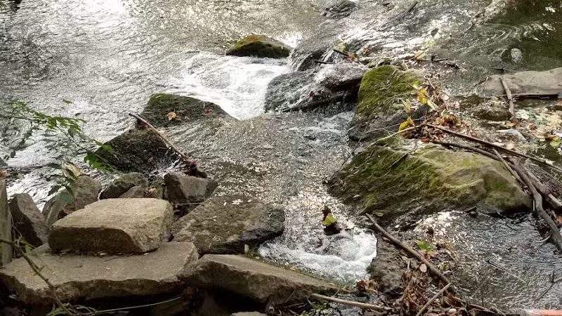 Cook's Lagoon Park - Canton, OH