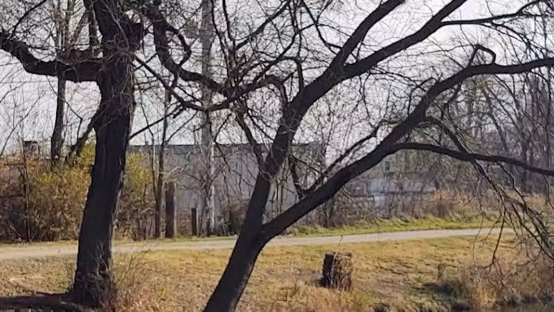 Cook's Lagoon Park - Canton, OH