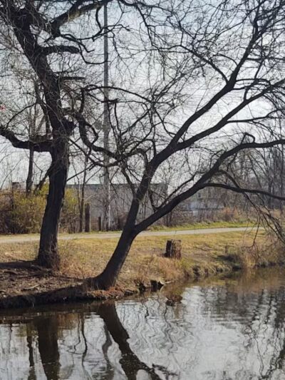 Cook's Lagoon Park - Canton, OH