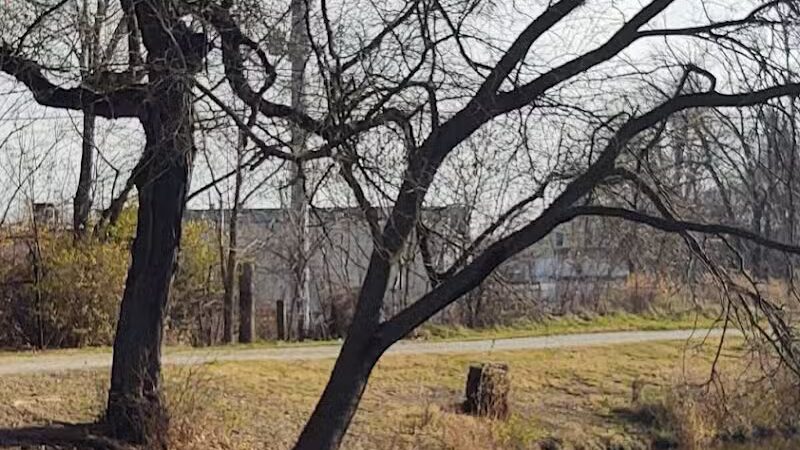 Cook's Lagoon Park - Canton, OH