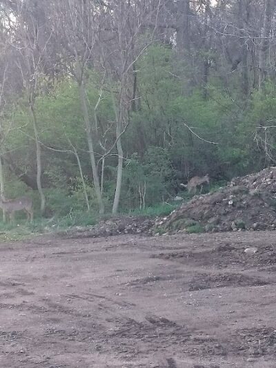 Covered Bridge Park - Canton, OH