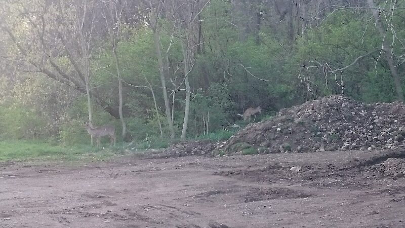 Covered Bridge Park - Canton, OH