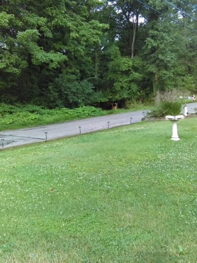 Covered Bridge Park - Canton, OH