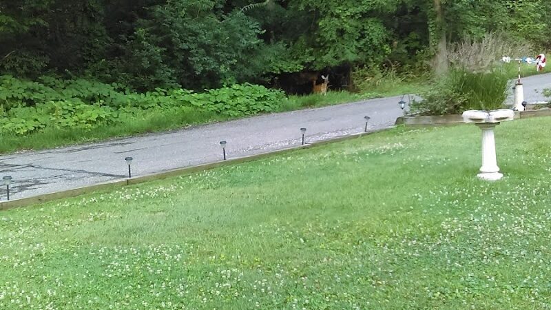 Covered Bridge Park - Canton, OH