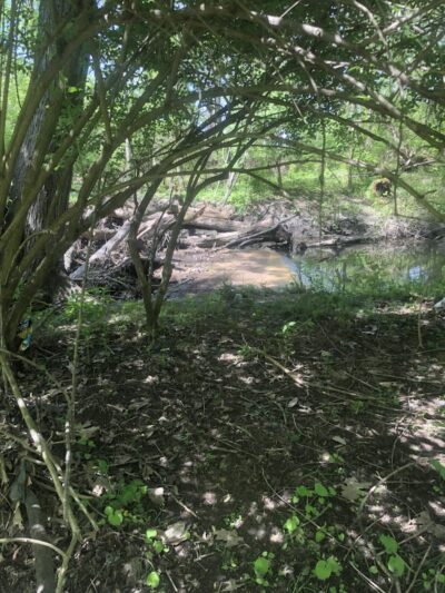 Covered Bridge Park - Canton, OH