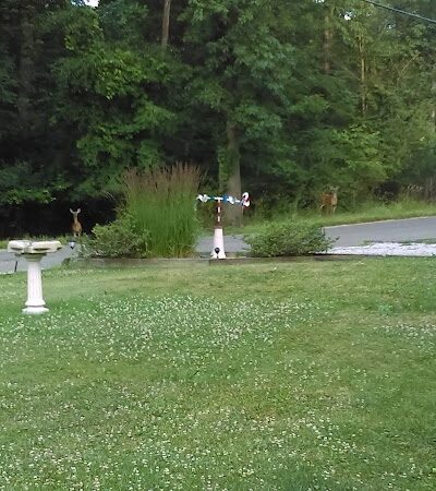 Covered Bridge Park - Canton, OH