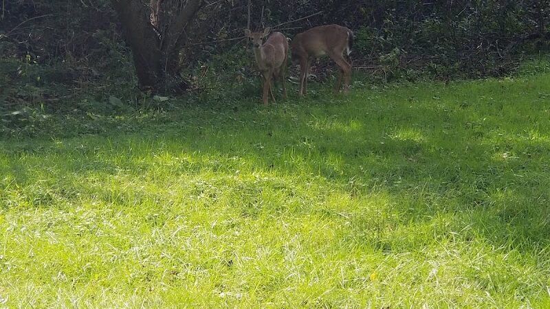 Covered Bridge Park - Canton, OH
