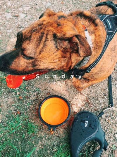 Covered Bridge Park - Canton, OH