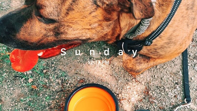 Covered Bridge Park - Canton, OH