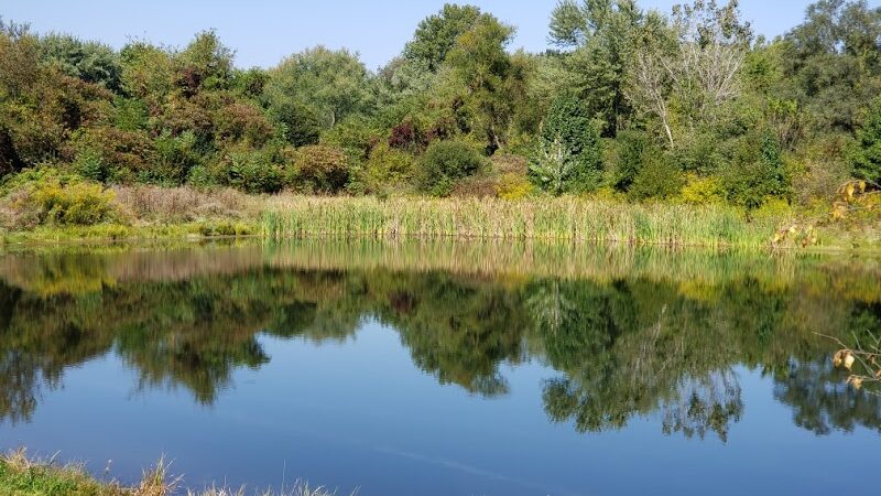 Devonshire Park - Canton, OH