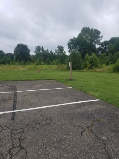 Devonshire Park - Canton, OH