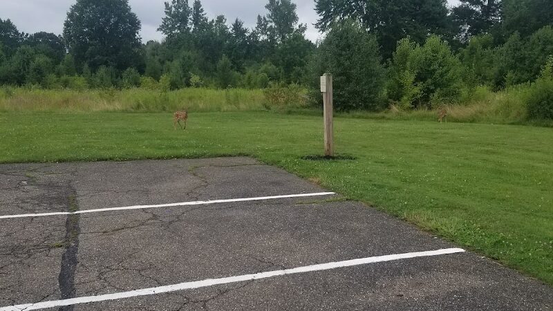Devonshire Park - Canton, OH