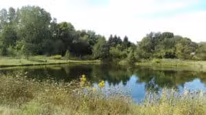 Devonshire Park - Canton, OH