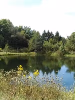 Devonshire Park - Canton, OH