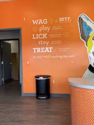 Dogtopia of Belden-Canton - Canton, OH