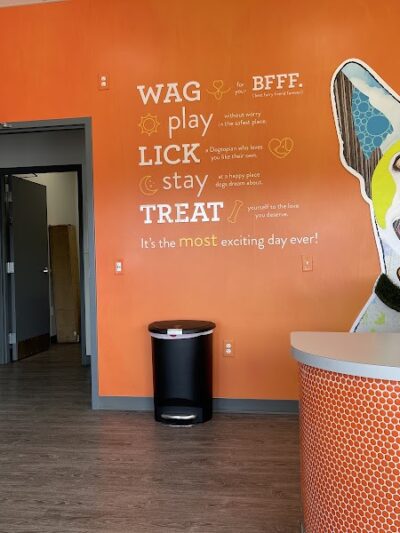 Dogtopia of Belden-Canton - Canton, OH