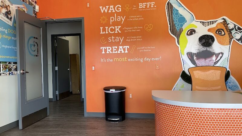 Dogtopia of Belden-Canton - Canton, OH